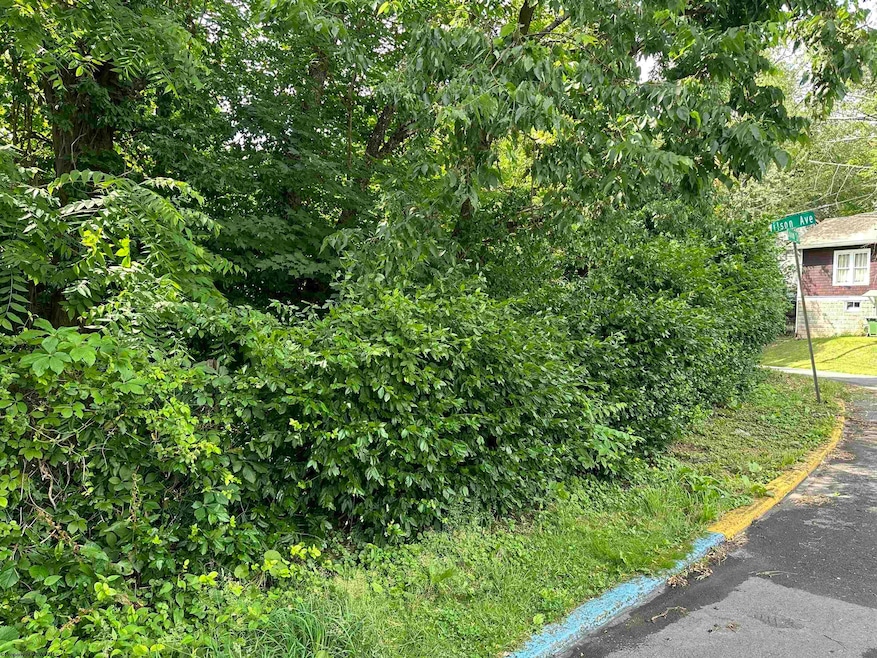 401 Conn St, Morgantown, WV 26501 - photo 1