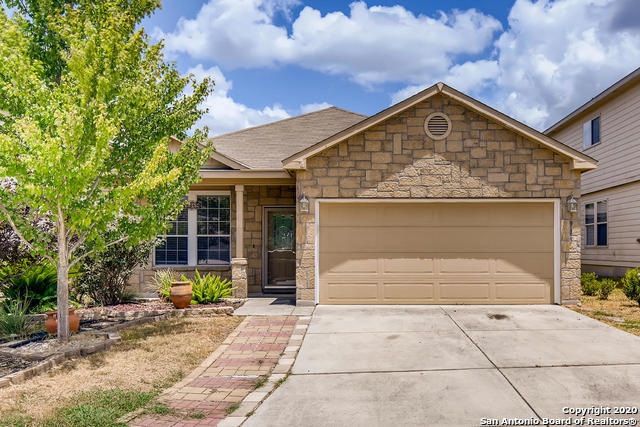 3919 Ashleaf Pecan, San Antonio, TX 78261 - photo 1