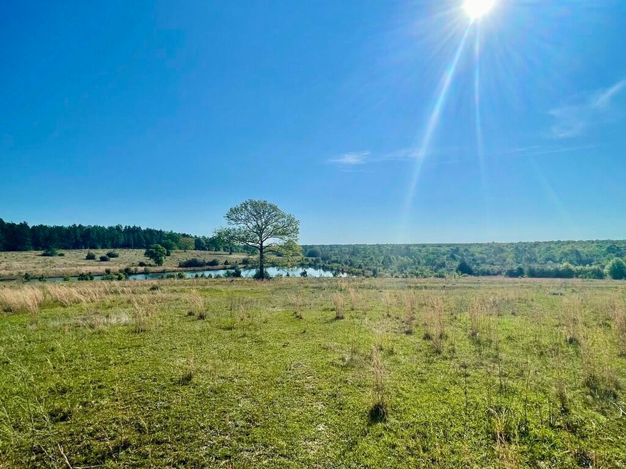 14+/-AC Hwy 393, Crestview, FL 32539 - photo 1