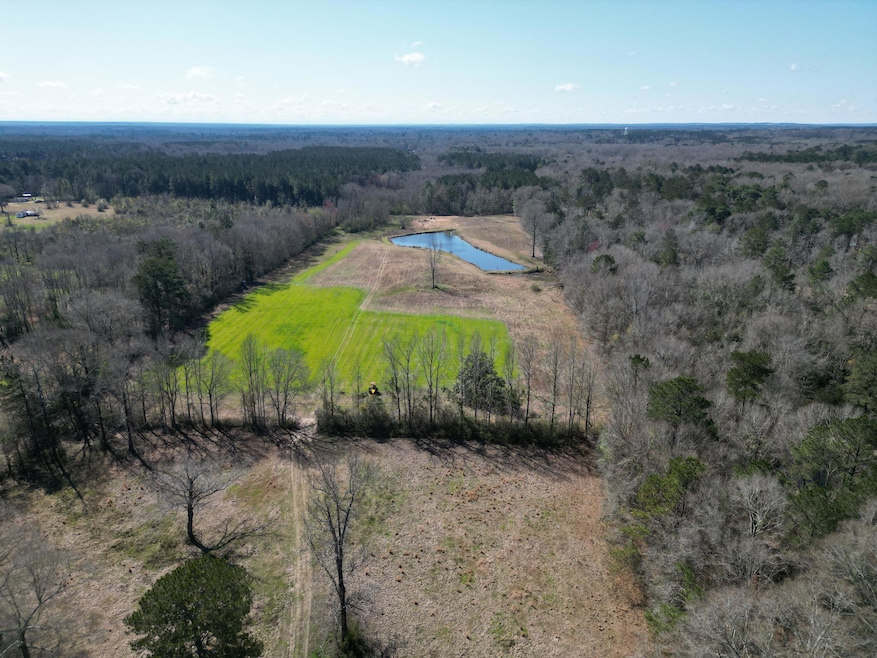 DJI_0988