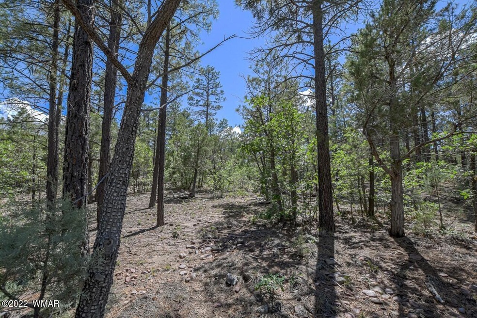 2011 S Sierra Park Trail, Show Low, AZ 85901 - photo 1