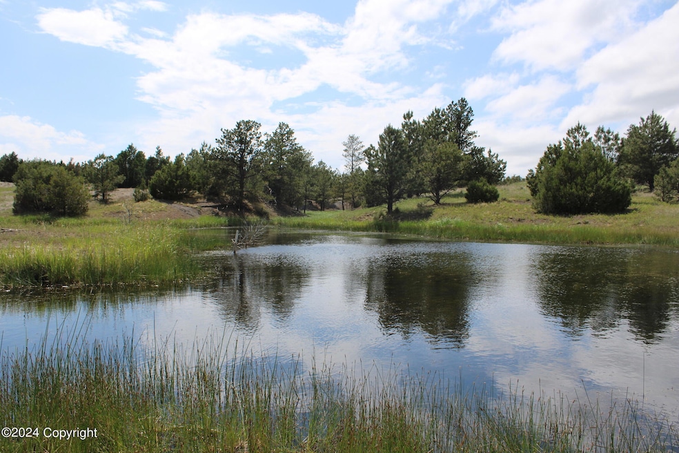 79 acres w pond