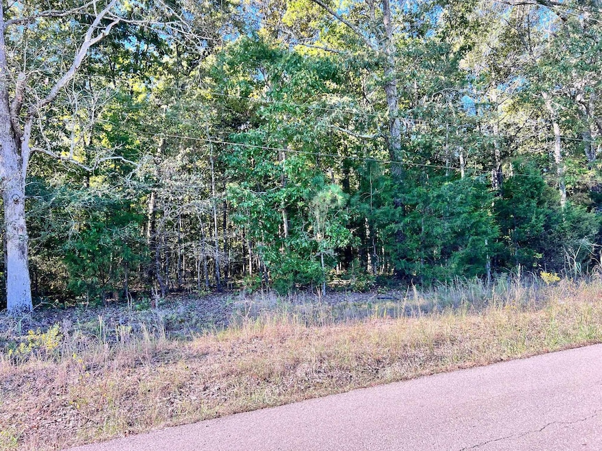 0 Melvin Qualls Rd, Michie, TN 38357 - photo 1