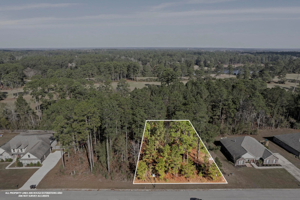 46 E Yellowstone Rd, Hattiesburg, MS 39402 - photo 1