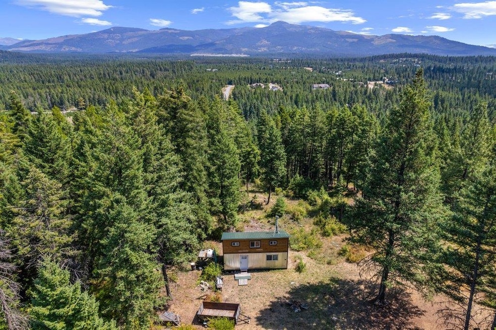 NKN Paul's Ln, Newport, WA 99156 - photo 1