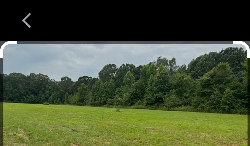 View of nature