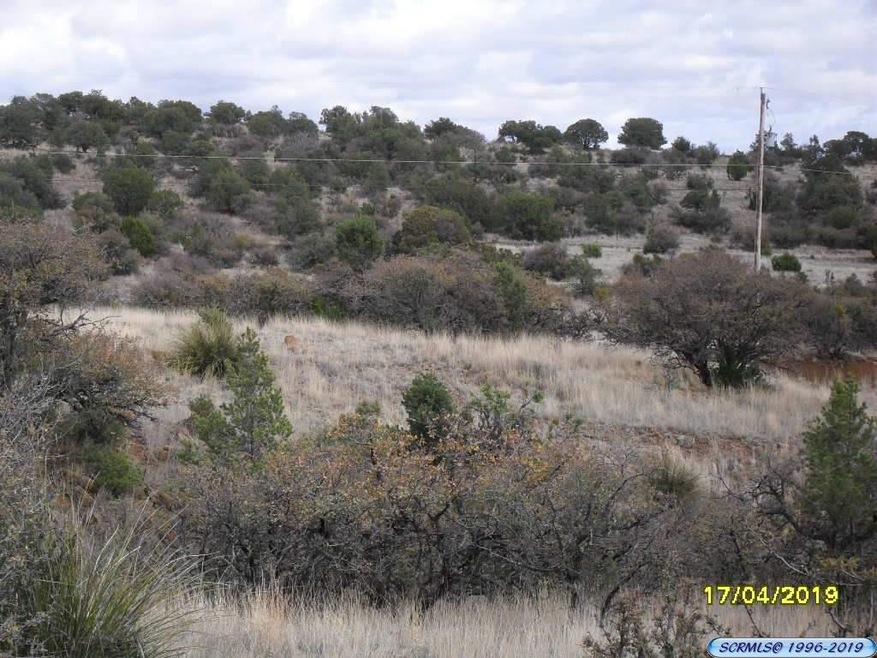 0000 Pinos Altos, Silver City, NM 88061 - photo 1