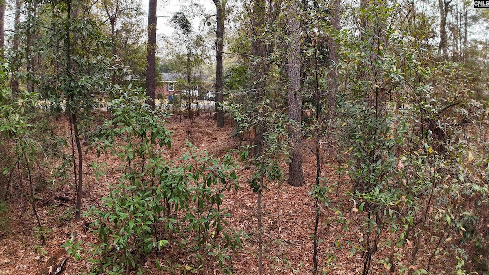 1319 Lake Shore Dr, Camden, SC 29020 - photo 1