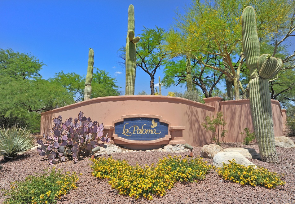 Welcome to La Paloma