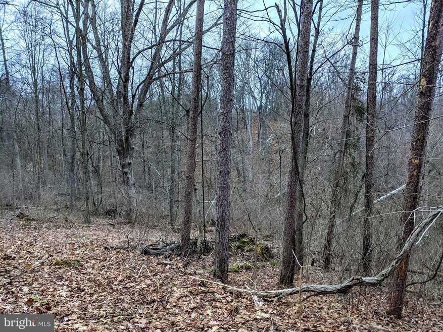 0 Campbell Dr, Newport, PA 17074 - photo 1