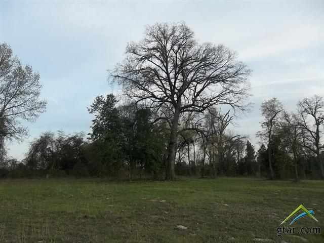 20834 County Road 26, Tyler, TX 75705 - photo 1