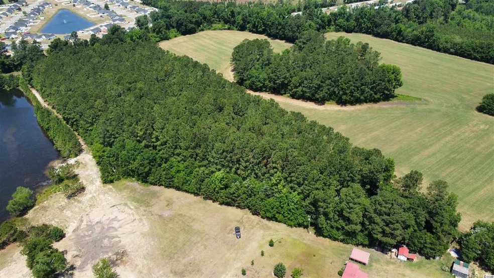 TBD Wilbur Rd, Conway, SC 29527 - photo 1