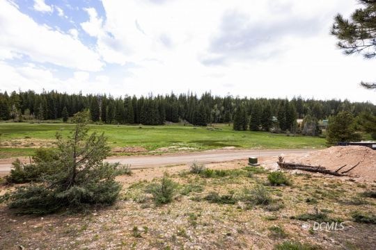 View of Meadow