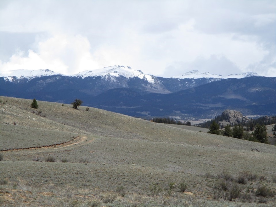 1202 Superstition Trail, Hartsel, CO 80449 - photo 1