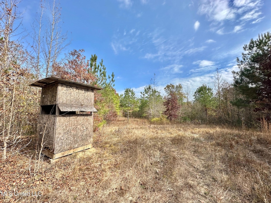 4 County Road 3122, McCool, MS 39108 - photo 1