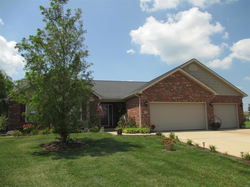 343 Sleeping Indian Dr, Freeburg, IL 62243 - photo 1