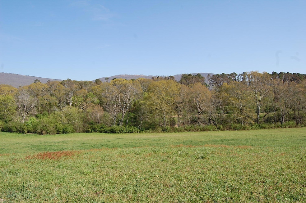 1279743 - 10 Neal Rd 022