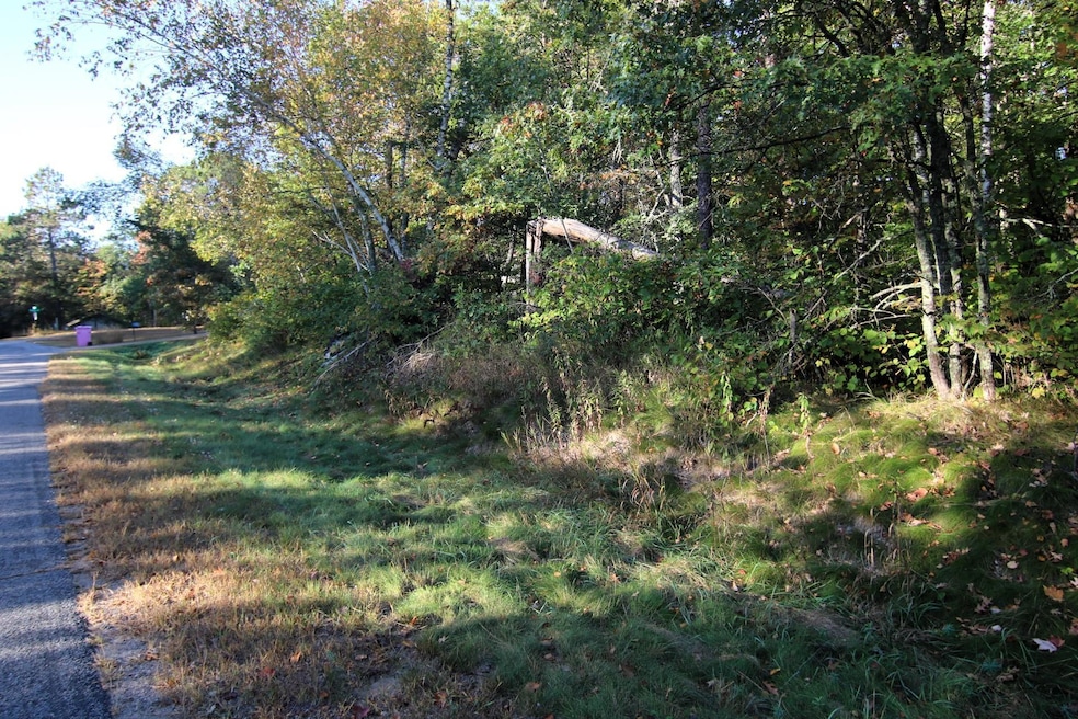 L4 B20 WB16 Summer Dr, Breezy Point, MN 56472 - photo 1