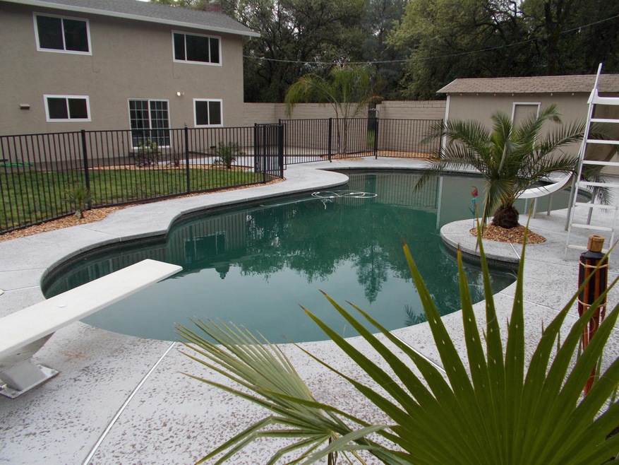 Large Swimming Pool