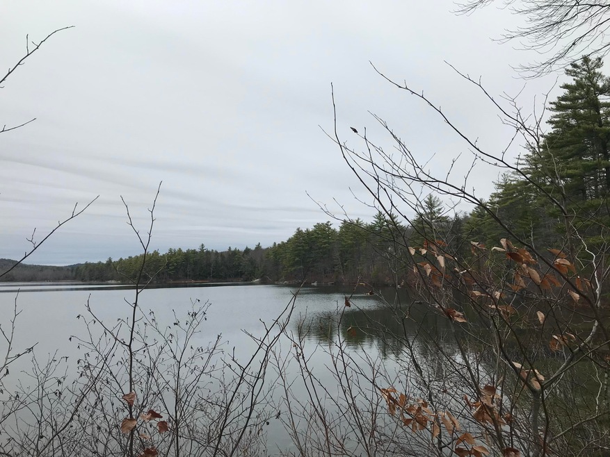 90 Pond Rd, Bridgton, ME 04009 - photo 1