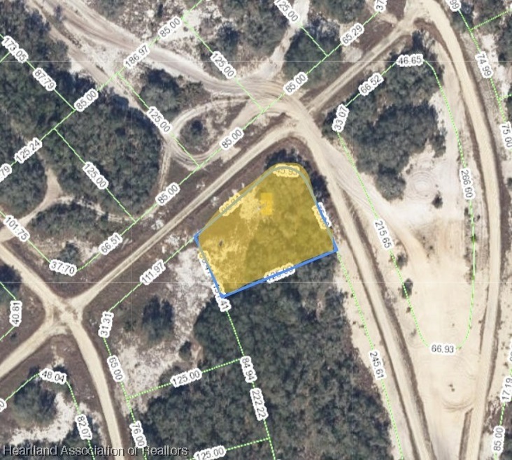 429 Crown Dr, Lake Placid, FL 33852 - photo 1