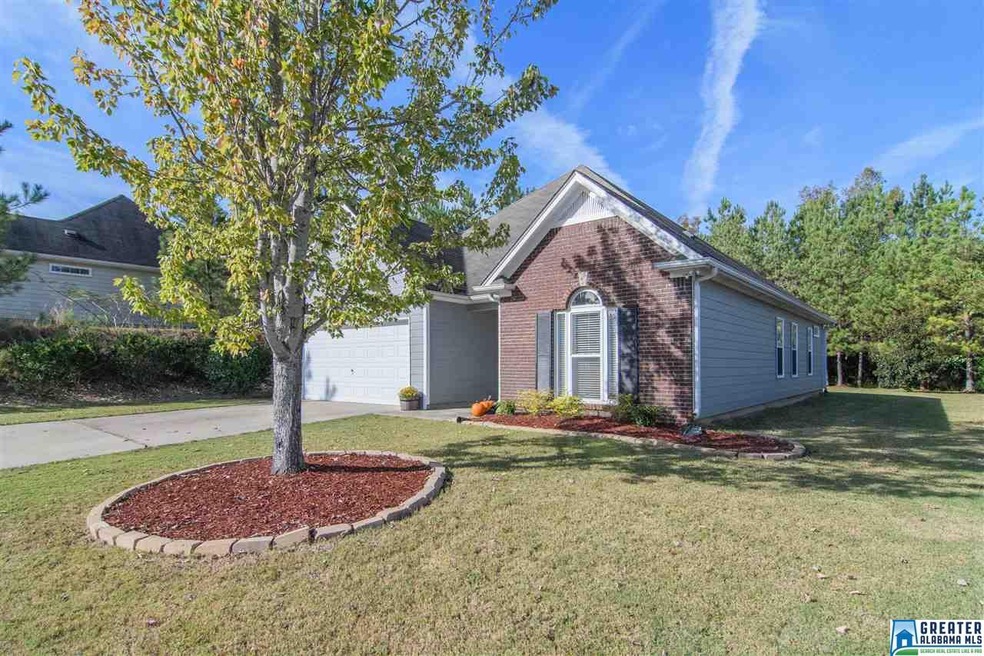 472 Camden Cove Cir, Calera, AL 35040 - photo 1