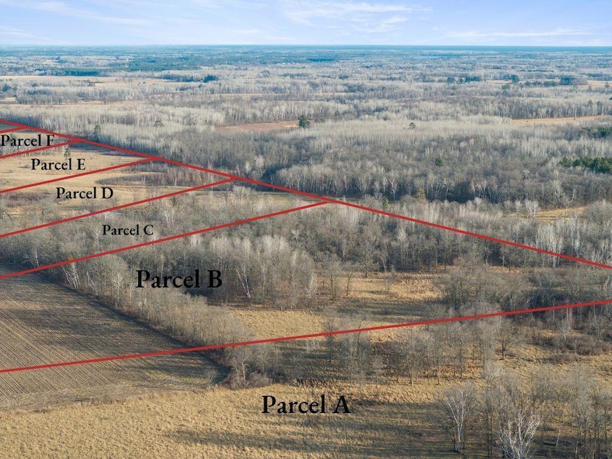 Parcel B 48th St SW, Breezy Point, MN 56472 - photo 1