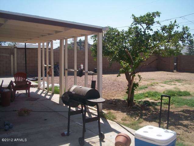 brown back yard 2