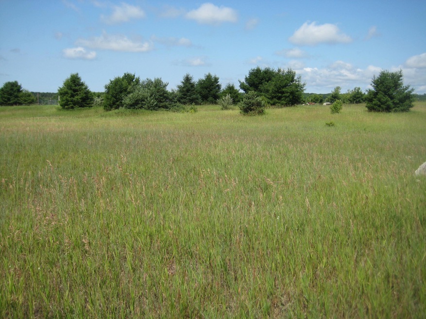 Parcel View 1 Gray's Way, Alanson