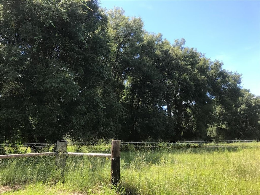 0 Grass Roots Rd unit LOT 11 G5047126, Groveland, FL 34736 - photo 1