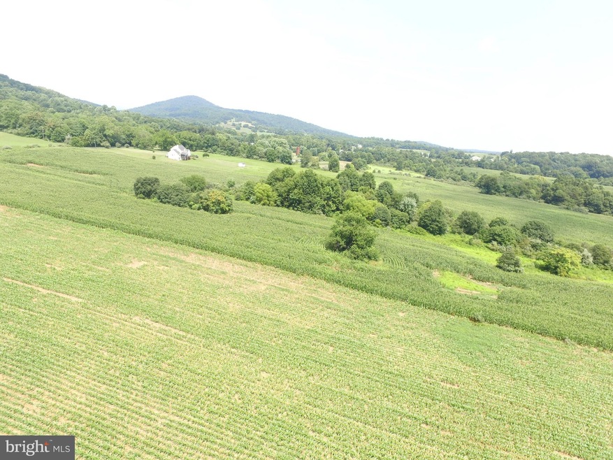 0 Ramey Rd unit VAFQ163352, Marshall, VA 20115 - photo 1