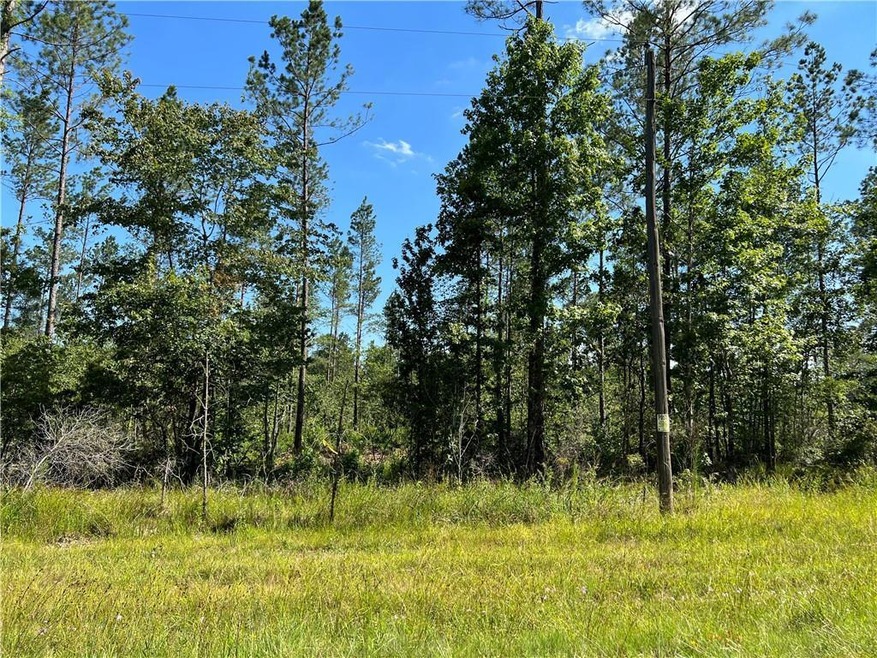0 Walker Ferry Rd unit Lot 8 CN167249, Pollock, LA 71467 - photo 1