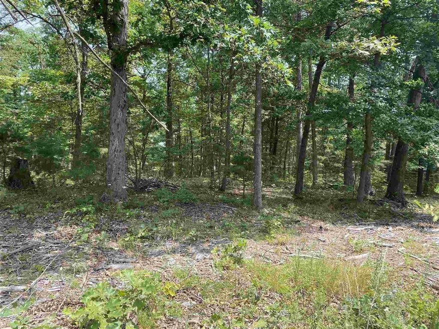 350 Forest Rd, Luray, VA 22835 - photo 1