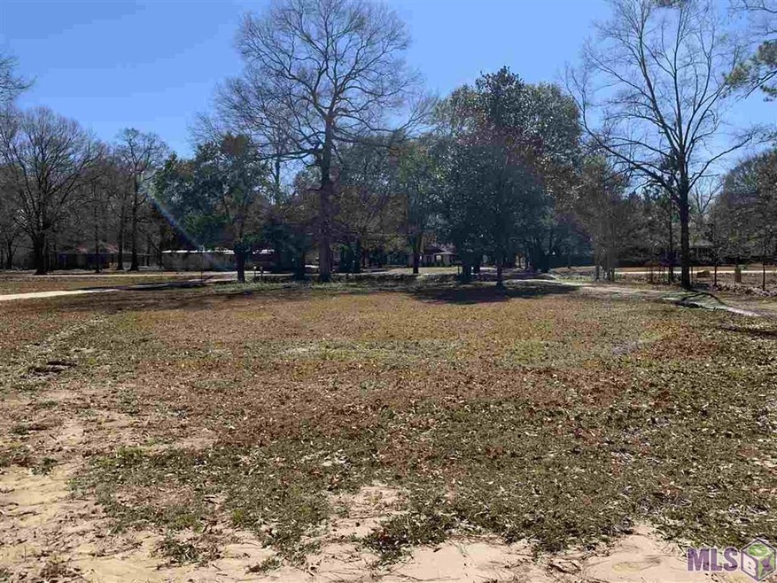 15111 Scorpio Ave, Pride, LA 70770 - photo 1