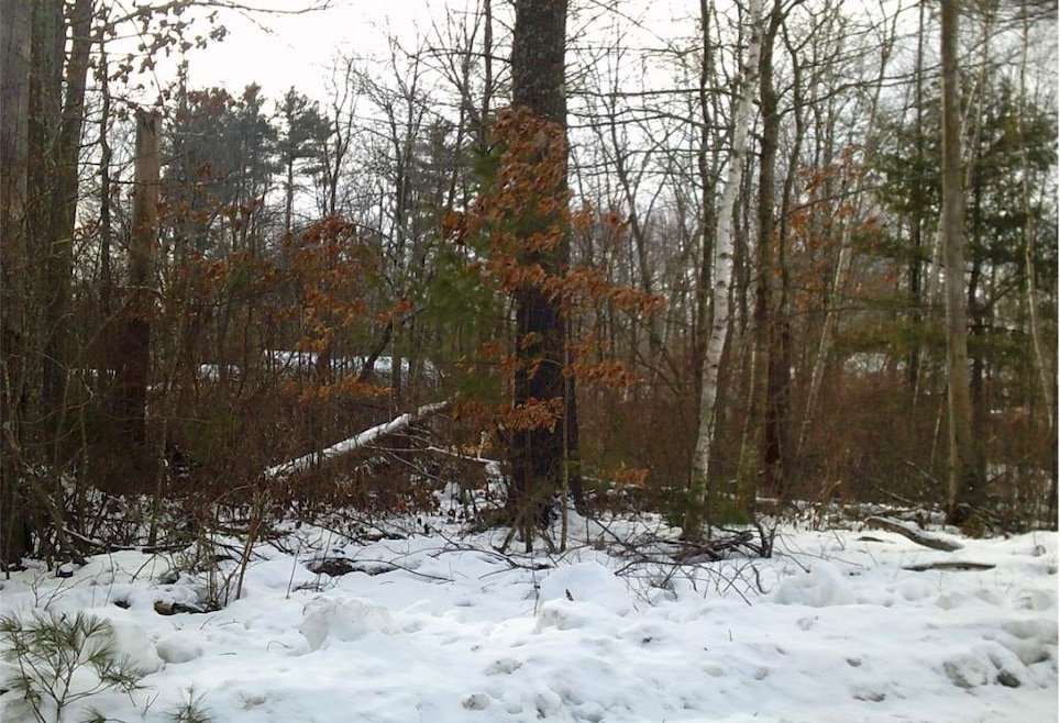 8 Mark Ave, Derry, NH 03038 - photo 1