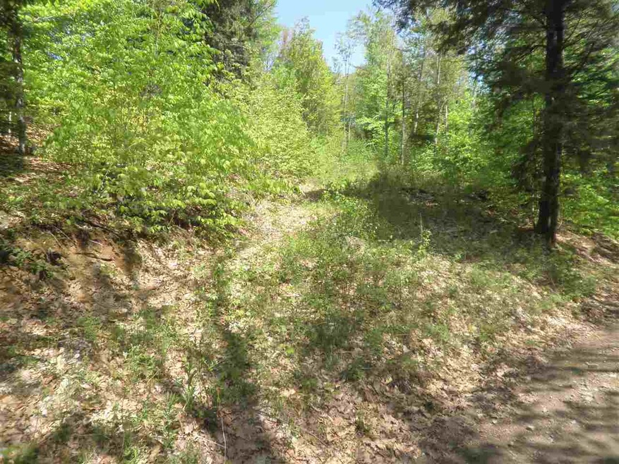 00 Mutton Rd, Webster, NH 03303 - photo 1