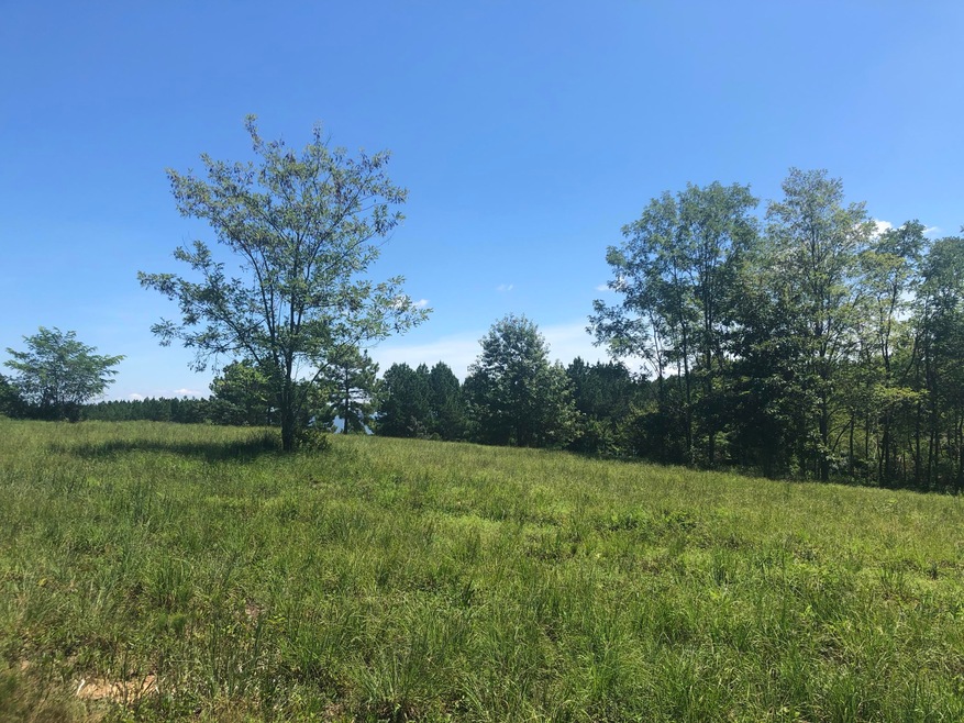 216 Pioneer Rd, Jasper, TN 37347 - photo 1