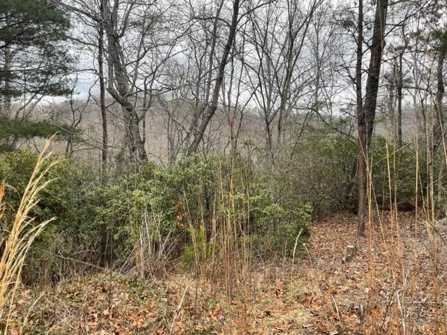 00 Sanderling Ct unit 325, Lake Lure, NC 28746 - photo 1