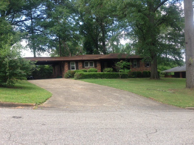 Main View