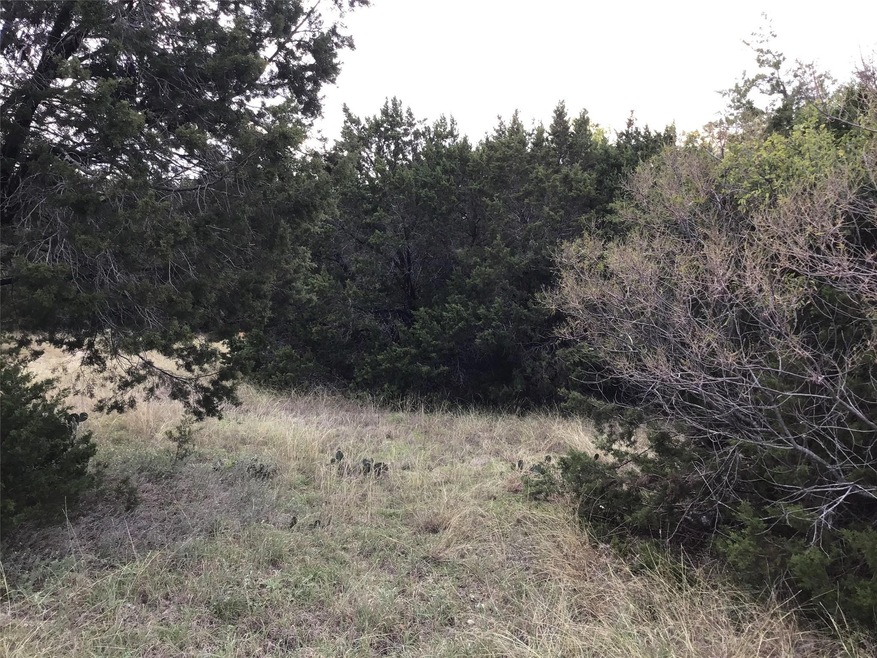 19019 Bluebonnet Dr, Whitney, TX 76692 - photo 1