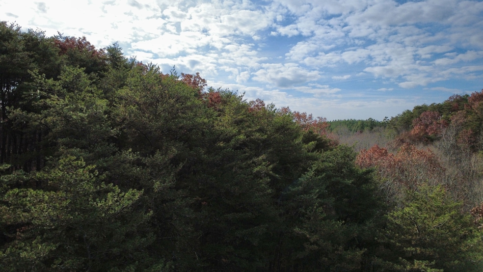 Tract 30 Gillespie Rd SE, Fairmount, GA 30139 - photo 1