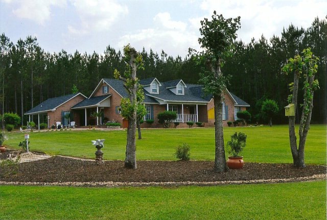 Main View