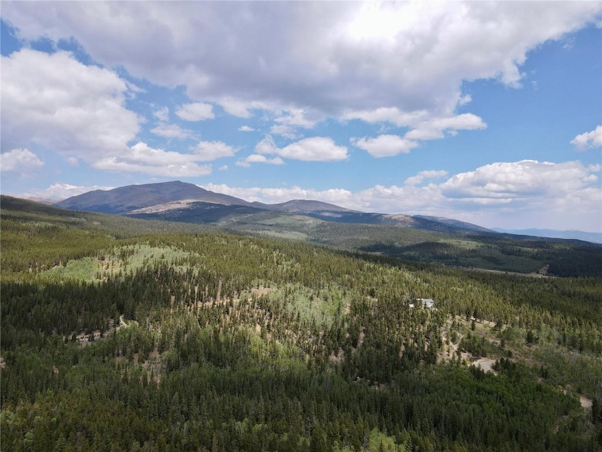 TBD Beaver Creek Rd, Fairplay, CO 80440 - photo 1