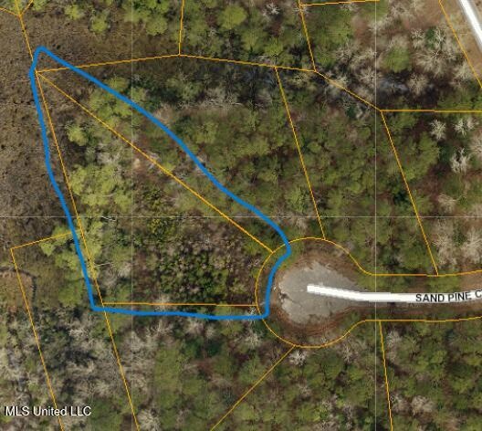 0 Sand Pine Cove unit 4103524, Gautier, MS 39553 - photo 1