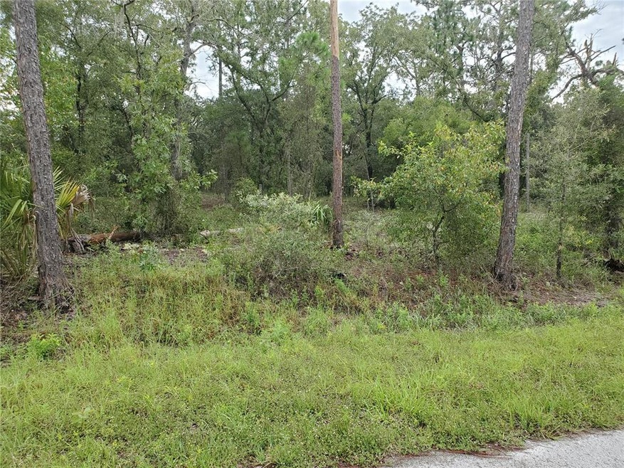 unlisted-address, Dunnellon, FL 34431 - photo 1