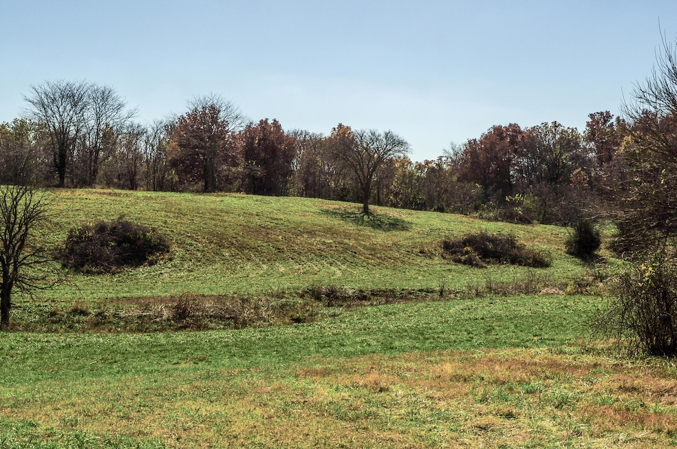 Tract 3 E 425th Rd, Fair Play, MO 65649 - photo 1
