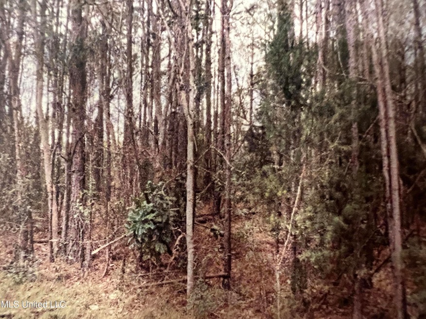 Tbd Neshoba St, Biloxi, MS 39532 - photo 1