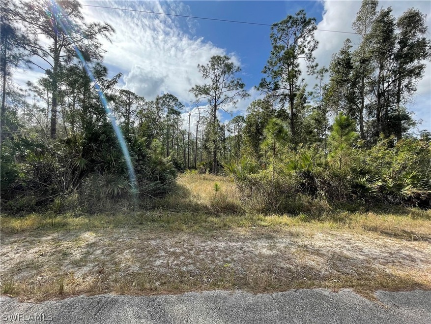 2119 Truman Ave, Alva, FL 33920 - photo 1