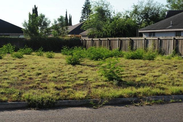 828 N 7 1 2 St, Alamo, TX 78516 - photo 1