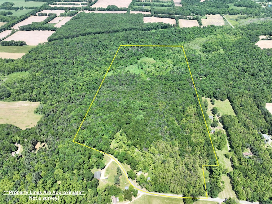 9890 Springport Rd, Parma, MI 49269 - photo 1